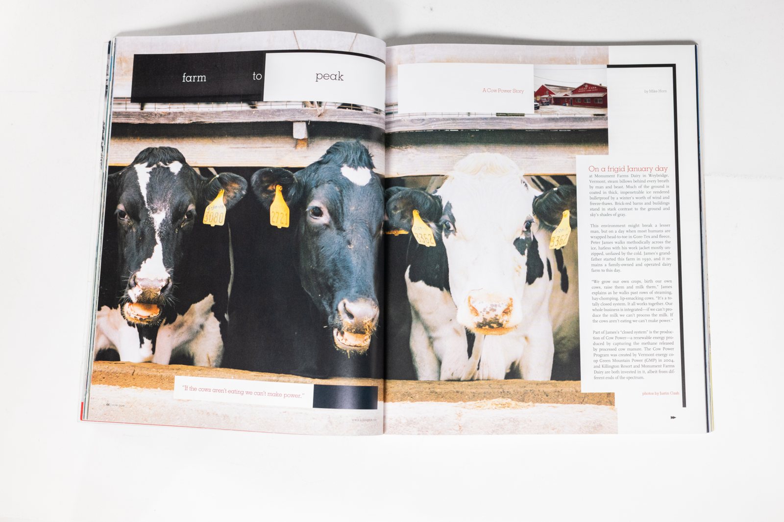 4241 magazine spread