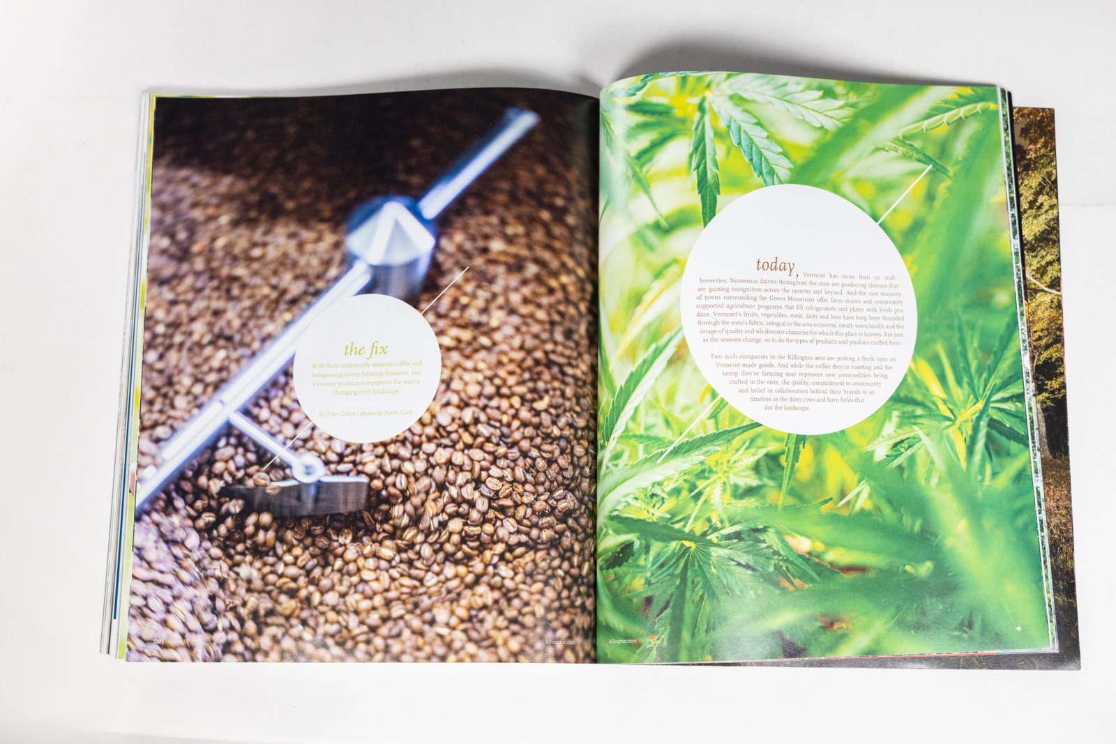 4241 magazine spread