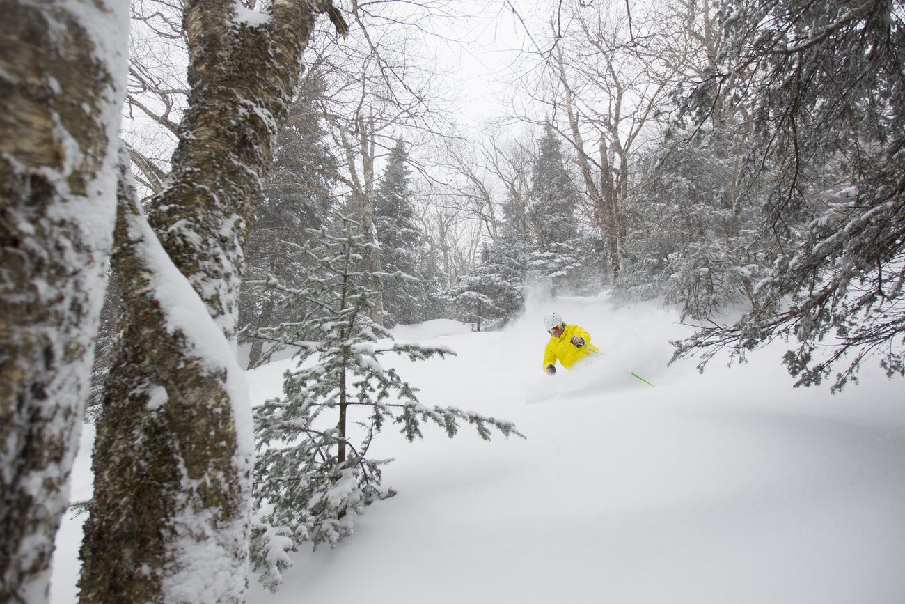Skiing powder in the trees
