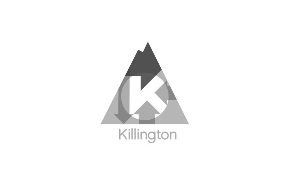 Logo direction — Pinnacle