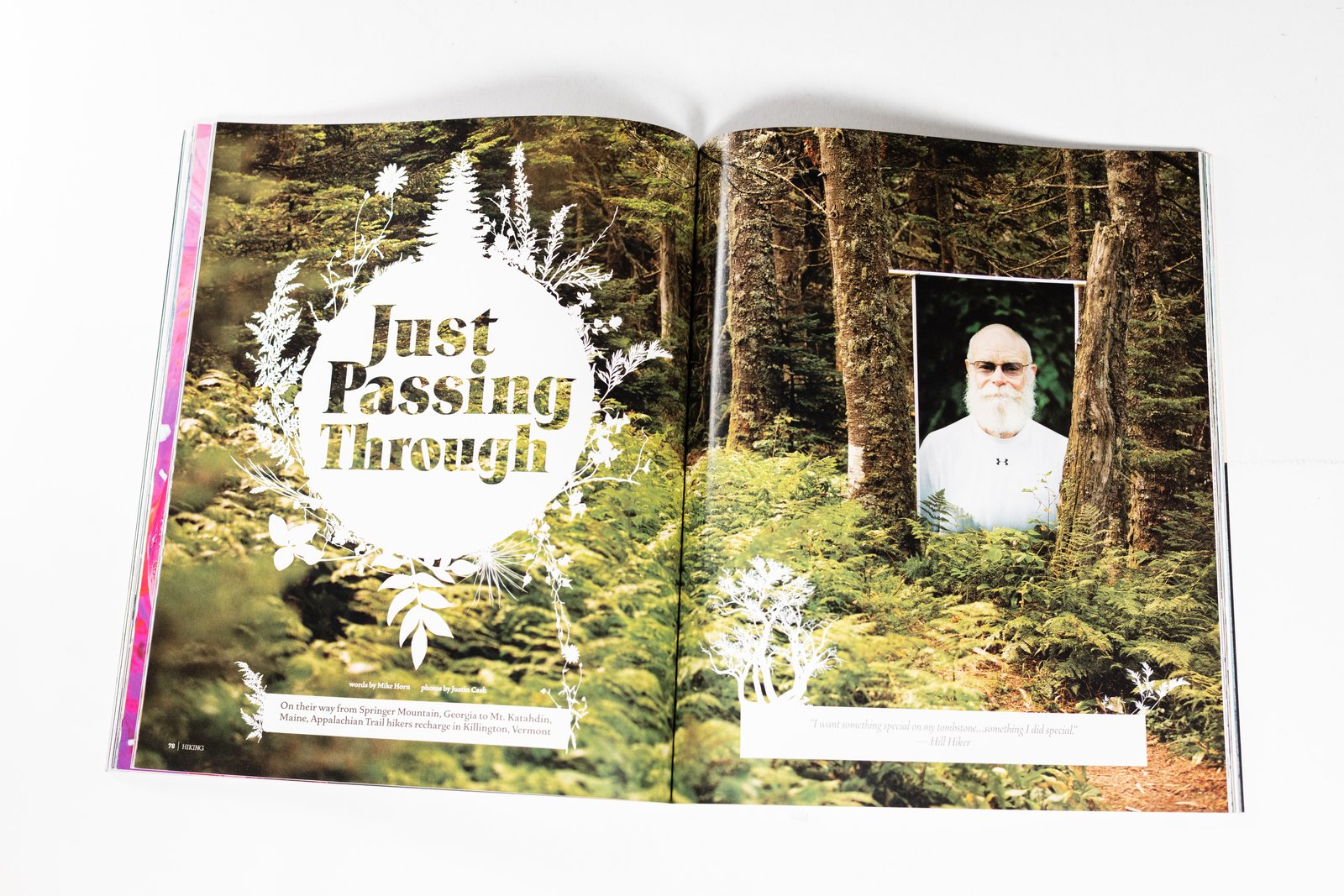 4241 Magazine spread — Just Passing Through, summer in the woods