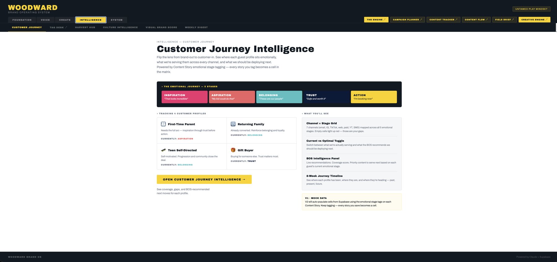 Customer Journey Intelligence — emotional stage matrix